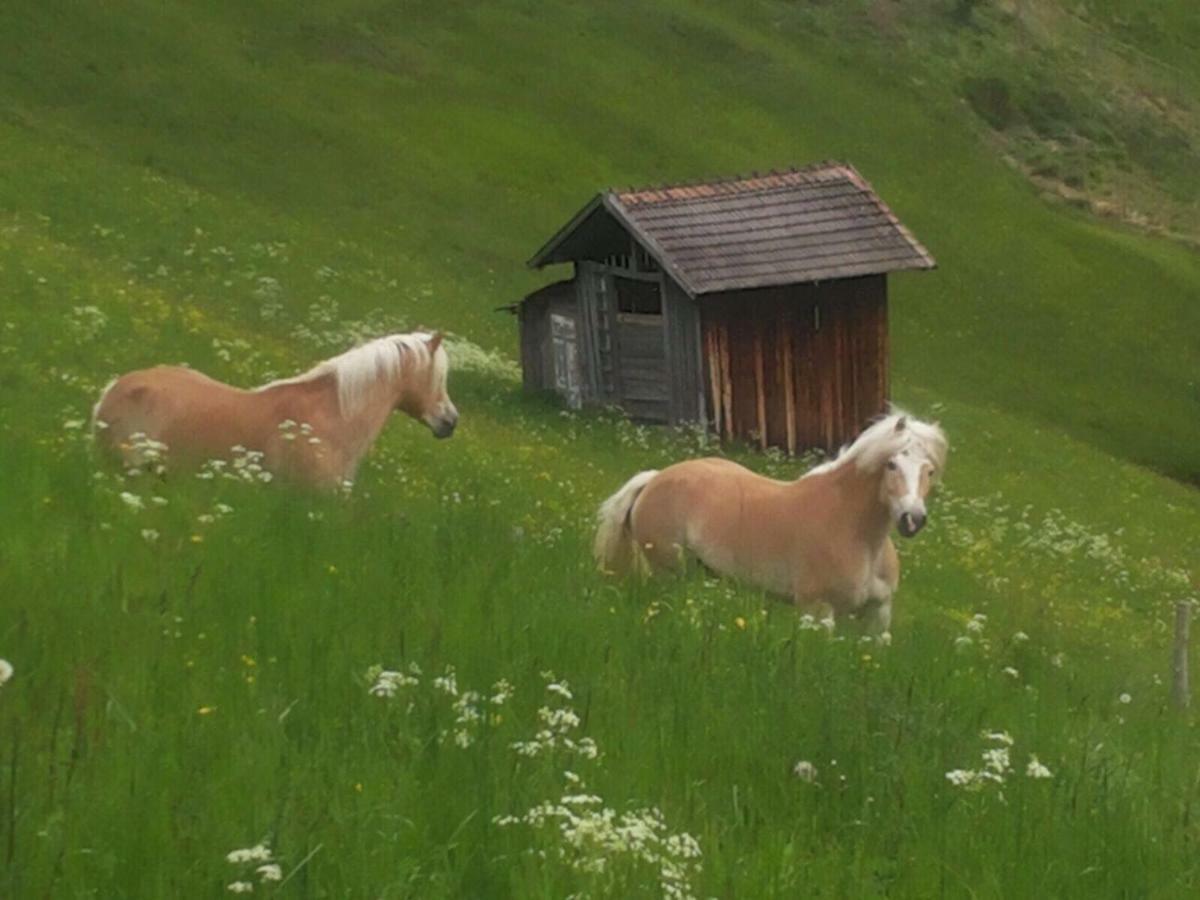 Apart.Pitztal Арцл им Пицтал Екстериор снимка