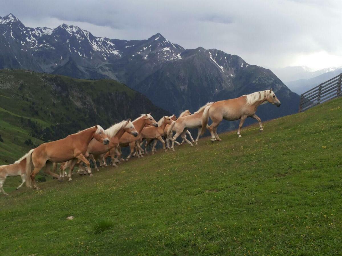 Apart.Pitztal Арцл им Пицтал Екстериор снимка